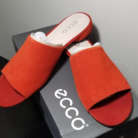 Ecco - Picture 2 of 3